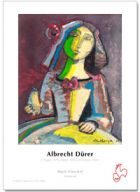 Albrecht Duerer logo