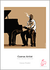 Canvas Artist logo