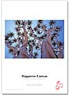 Daguerre Canvas logo