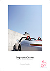 Daguerre Canvas logo