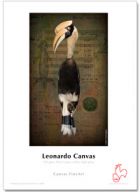 Leonardo Canvas logo