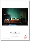 Monet Canvas logo